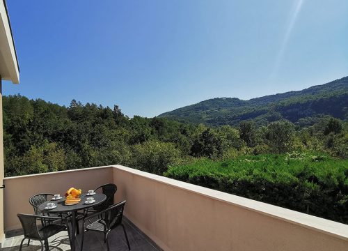 Villa-Mandalena-Buzet-Istria-App1-0-0