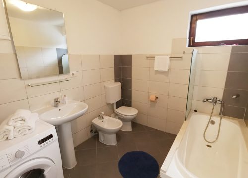 Villa-Mandalena-Buzet-Istria-App1-4