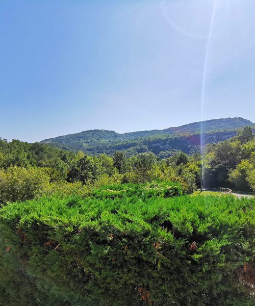 Villa-Mandalena-Buzet-Istria-Exterior-0-0
